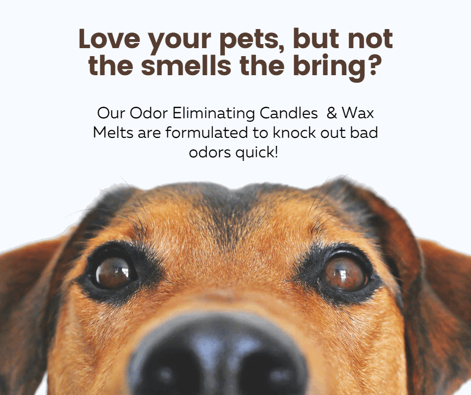 Odor Eliminating Soy Wax Melt