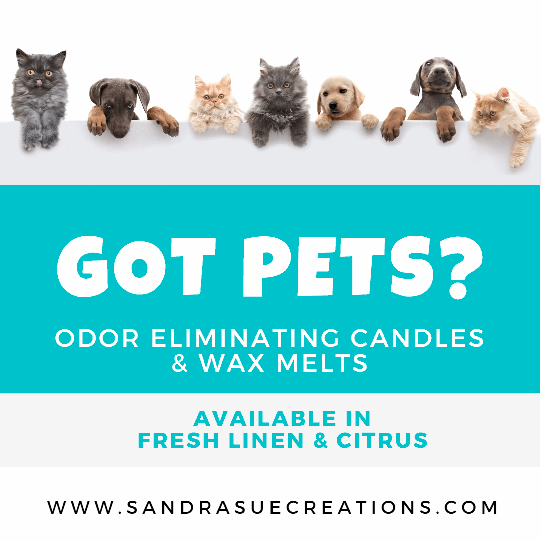 Odor Eliminating Soy Wax Melt