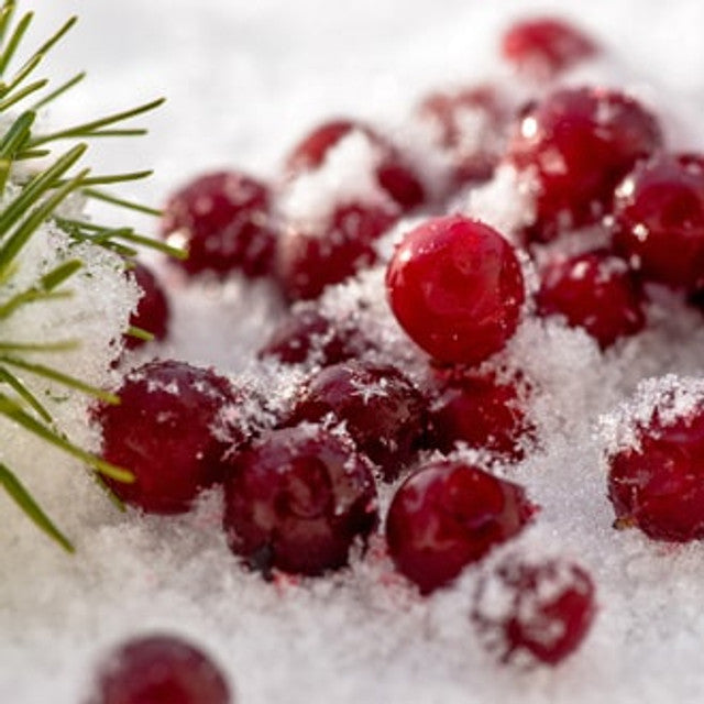 Frosted Cranberry Soy Wax Melt