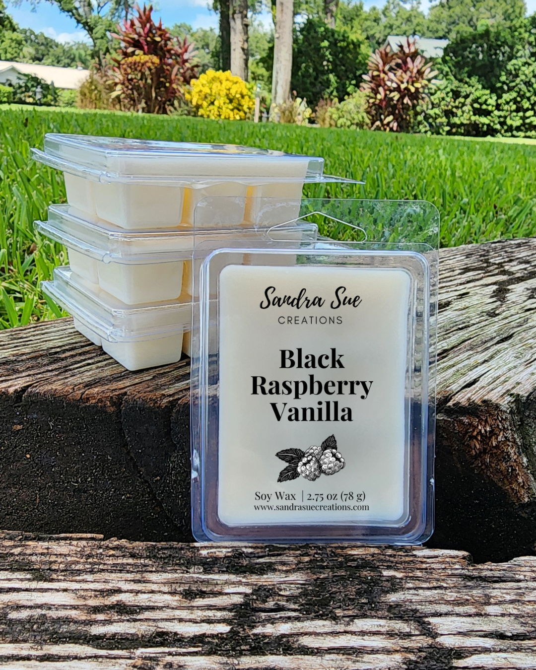 Black Raspberry Vanilla Soy Wax Melt