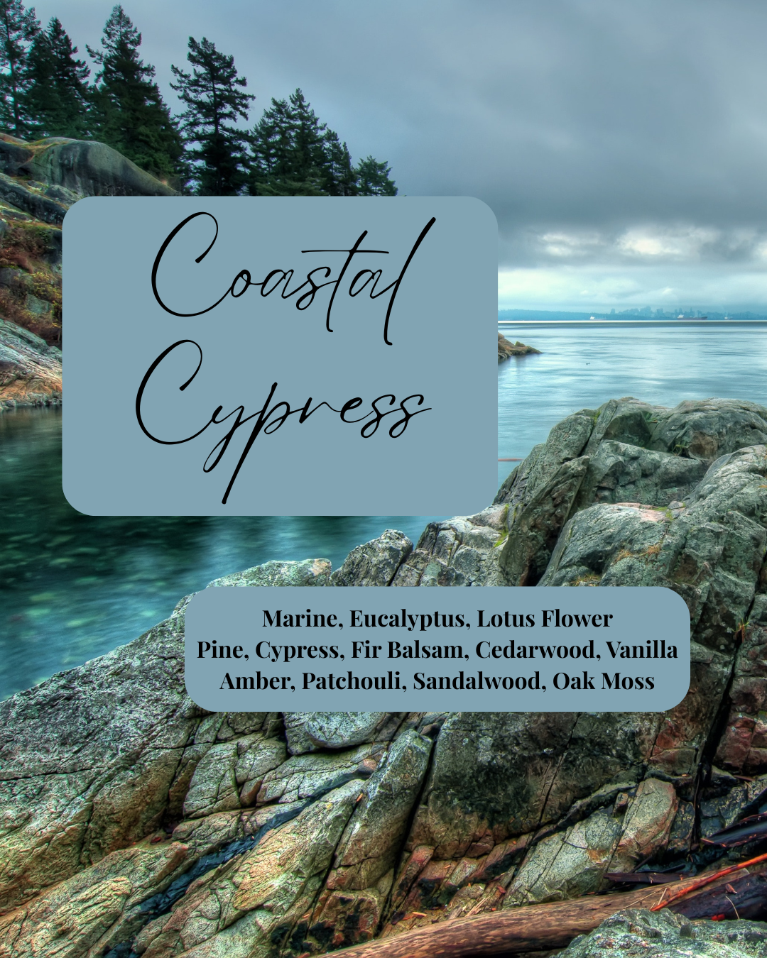 Coastal Cypress Soy Wax Melt