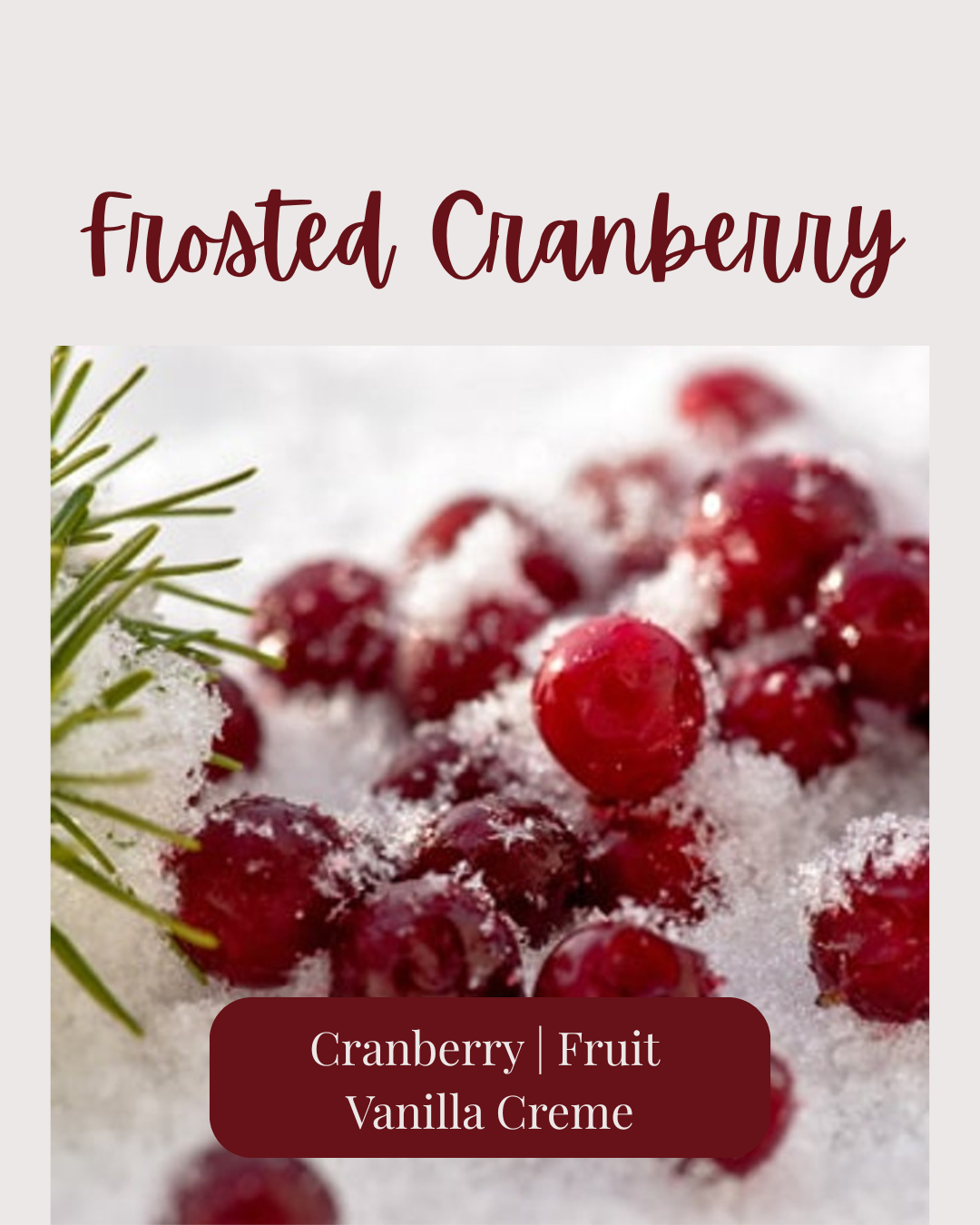 Frosted Cranberry Soy Wax Melt