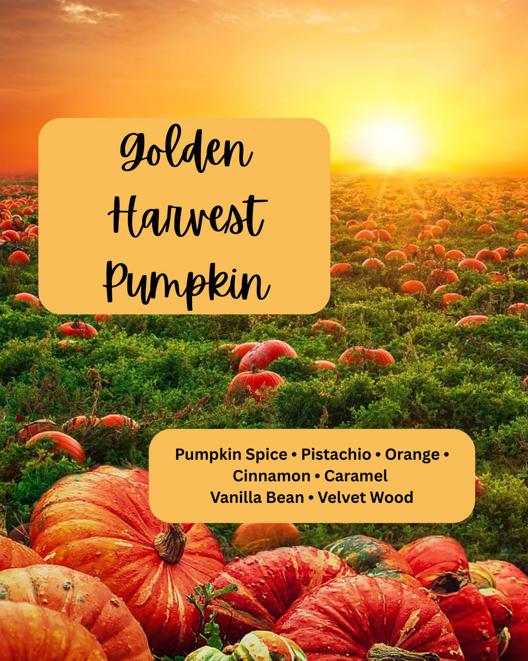 Golden Harvest Pumpkin Soy Wax Melt