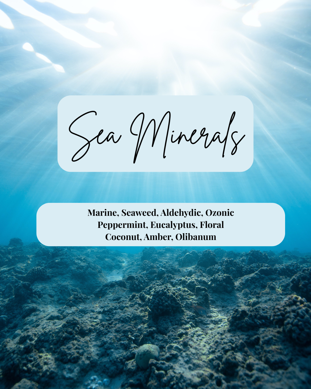 Sea Minerals Soy Wax Melt