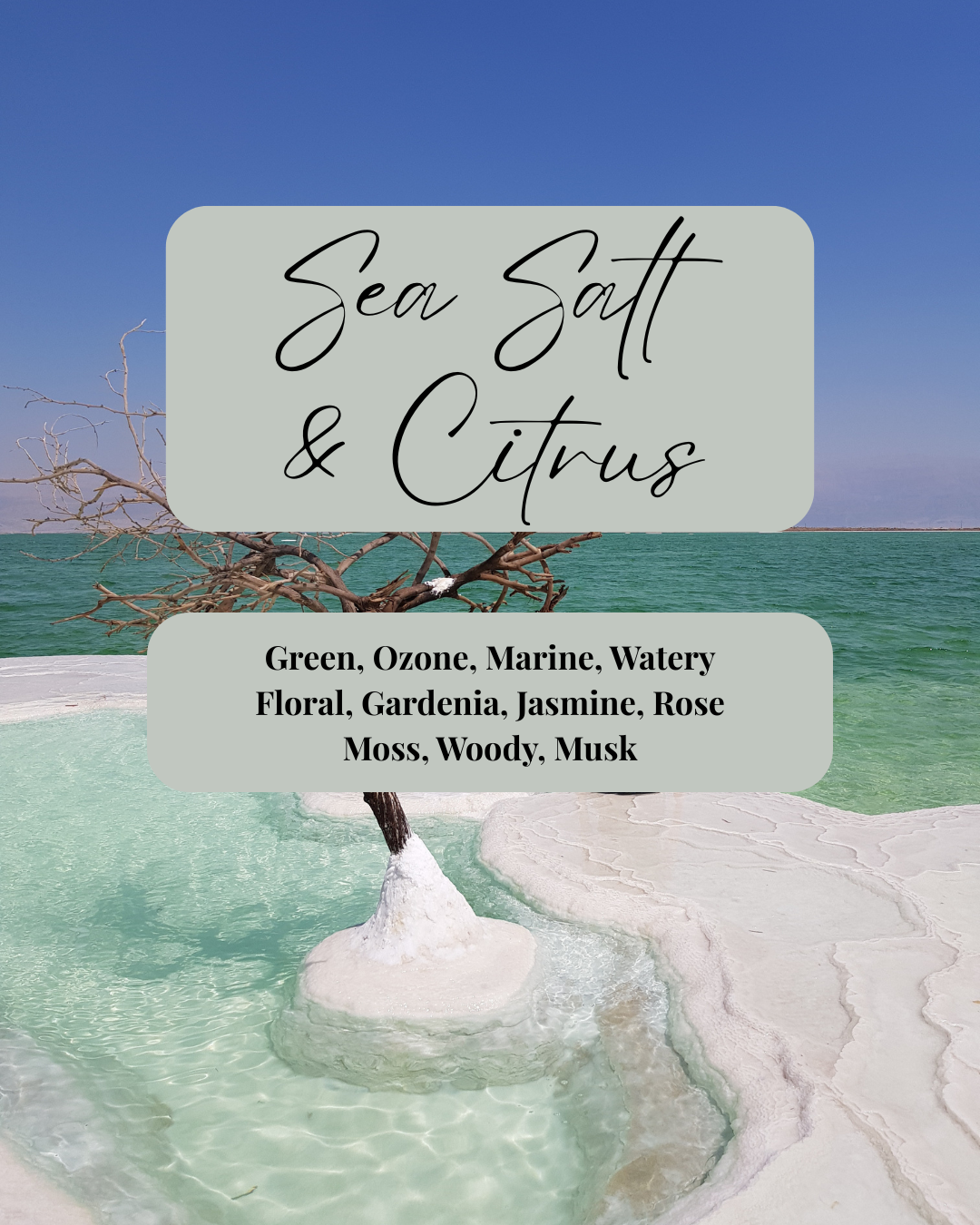 Sea Salt & Citrus Soy Wax Melt