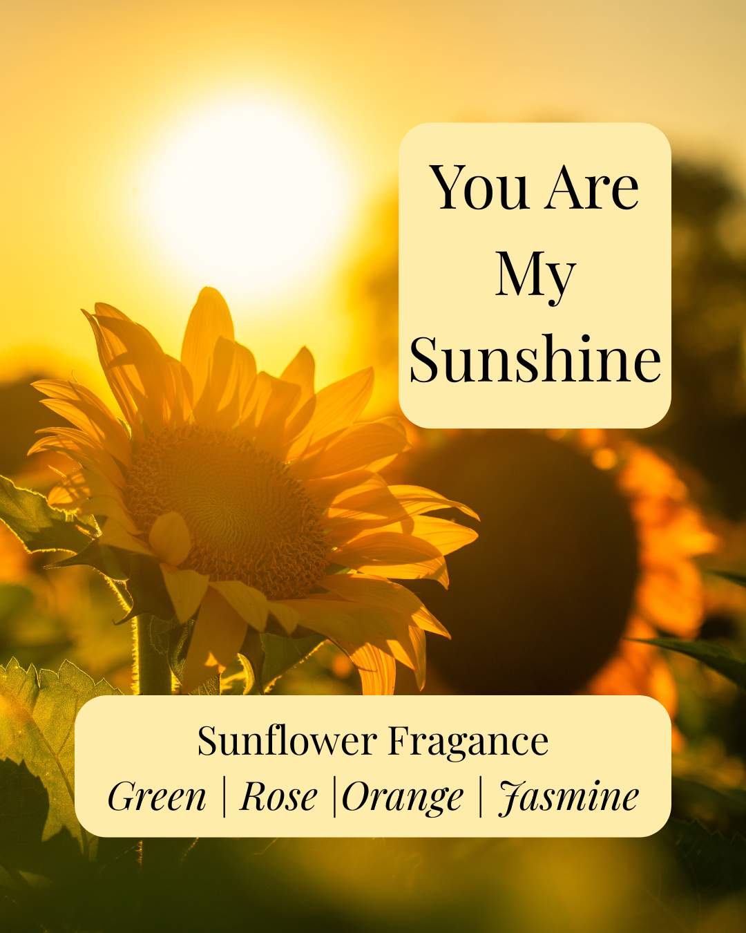 You Are My Sunshine Soy Wax Melt